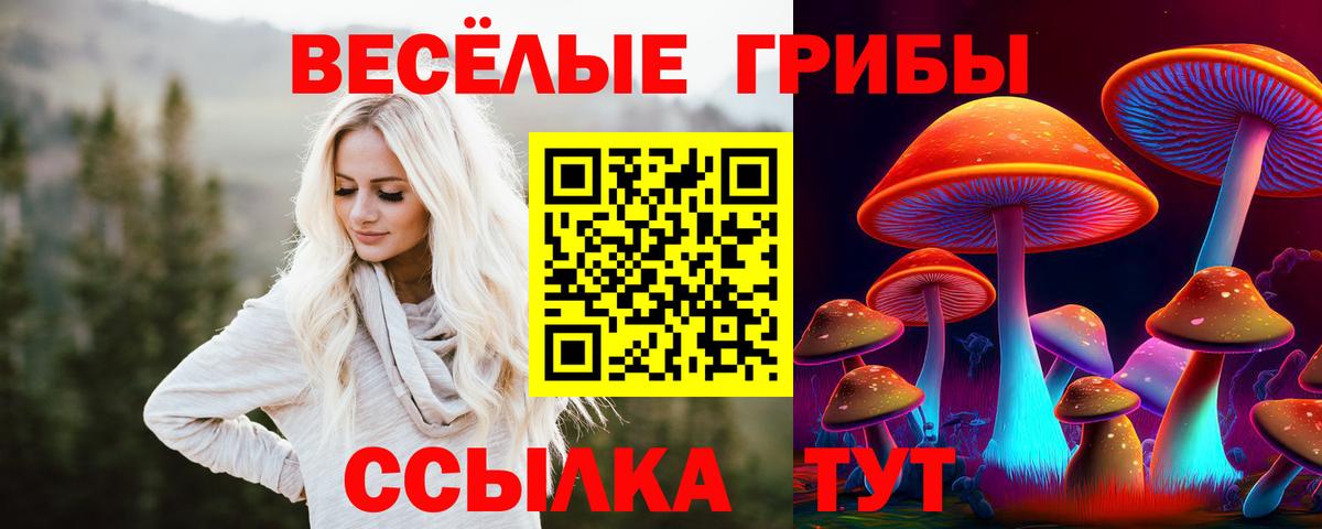 Чебоксары  Псилоцибиновые грибы Magic Shrooms  Вход с VPN 